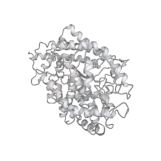 11687_7a97_E_v1-3
SARS-CoV-2 Spike Glycoprotein with 2 ACE2 Bound