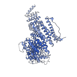 14722_8a9k_B_v1-0
Cryo-EM structure of USP1-UAF1 bound to FANCI and mono-ubiquitinated FANCD2 with ML323 (consensus reconstruction)