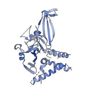 14722_8a9k_D_v1-0
Cryo-EM structure of USP1-UAF1 bound to FANCI and mono-ubiquitinated FANCD2 with ML323 (consensus reconstruction)