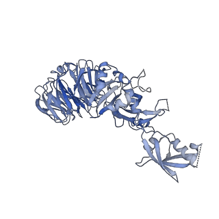 14722_8a9k_E_v2-0
Cryo-EM structure of USP1-UAF1 bound to FANCI and mono-ubiquitinated FANCD2 with ML323 (consensus reconstruction)