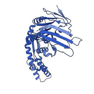 15267_8a93_B_v1-2
Complex of RecF-RecR-DNA from Thermus thermophilus.