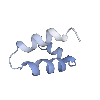 15267_8a93_D_v1-2
Complex of RecF-RecR-DNA from Thermus thermophilus.