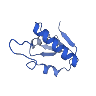 15267_8a93_F_v1-2
Complex of RecF-RecR-DNA from Thermus thermophilus.