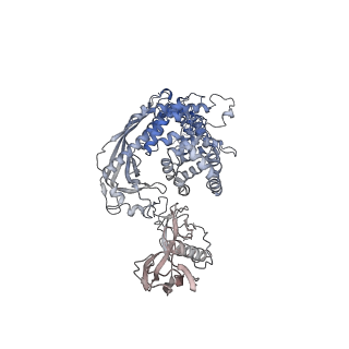 15274_8a9a_A_v1-1
Single Particle cryo-EM of the lipid binding protein P116 (MPN213) from Mycoplasma pneumoniae at 3.3 Angstrom resolution.