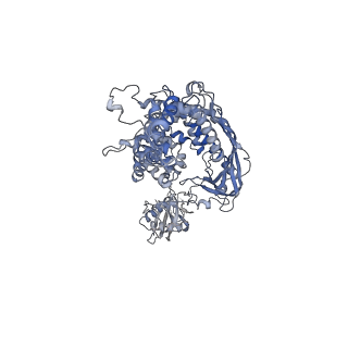15274_8a9a_B_v1-1
Single Particle cryo-EM of the lipid binding protein P116 (MPN213) from Mycoplasma pneumoniae at 3.3 Angstrom resolution.