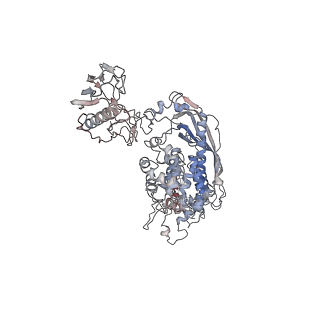 15275_8a9b_B_v1-1
Single Particle cryo-EM of the empty lipid binding protein P116 (MPN213) from Mycoplasma pneumoniae at 4 Angstrom resolution