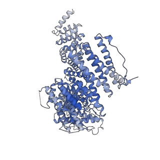 15284_8a9j_B_v1-0
Cryo-EM structure of USP1-UAF1 bound to FANCI and mono-ubiquitinated FANCD2 without ML323 (consensus reconstruction)