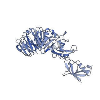 15284_8a9j_E_v1-0
Cryo-EM structure of USP1-UAF1 bound to FANCI and mono-ubiquitinated FANCD2 without ML323 (consensus reconstruction)