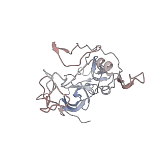 6396_5a9z_AD_v1-2
Complex of Thermous thermophilus ribosome bound to BipA-GDPCP