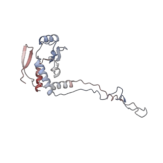6396_5a9z_AF_v1-2
Complex of Thermous thermophilus ribosome bound to BipA-GDPCP