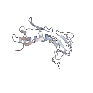 6396_5a9z_AH_v1-2
Complex of Thermous thermophilus ribosome bound to BipA-GDPCP