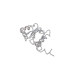6396_5a9z_AI_v1-2
Complex of Thermous thermophilus ribosome bound to BipA-GDPCP