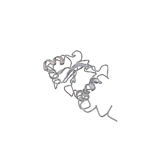 6396_5a9z_AI_v2-1
Complex of Thermous thermophilus ribosome bound to BipA-GDPCP