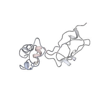 6396_5a9z_AJ_v1-2
Complex of Thermous thermophilus ribosome bound to BipA-GDPCP