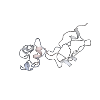 6396_5a9z_AJ_v2-1
Complex of Thermous thermophilus ribosome bound to BipA-GDPCP