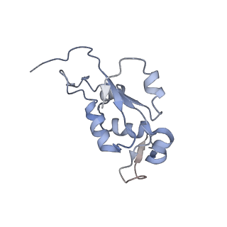 6396_5a9z_AK_v1-2
Complex of Thermous thermophilus ribosome bound to BipA-GDPCP