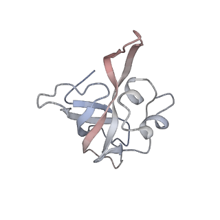 6396_5a9z_AL_v1-2
Complex of Thermous thermophilus ribosome bound to BipA-GDPCP