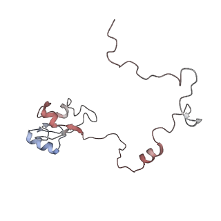 6396_5a9z_AM_v1-2
Complex of Thermous thermophilus ribosome bound to BipA-GDPCP