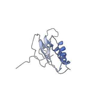 6396_5a9z_AN_v1-2
Complex of Thermous thermophilus ribosome bound to BipA-GDPCP