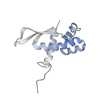 6396_5a9z_AO_v1-2
Complex of Thermous thermophilus ribosome bound to BipA-GDPCP