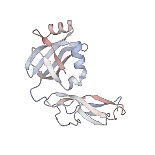 6396_5a9z_AW_v1-2
Complex of Thermous thermophilus ribosome bound to BipA-GDPCP