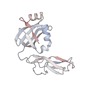6396_5a9z_AW_v2-1
Complex of Thermous thermophilus ribosome bound to BipA-GDPCP
