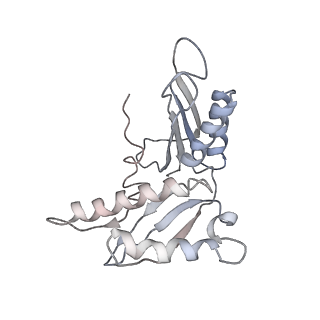 6396_5a9z_BG_v1-2
Complex of Thermous thermophilus ribosome bound to BipA-GDPCP