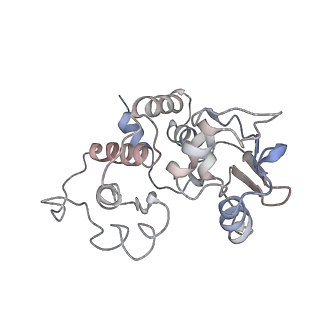 6396_5a9z_BH_v1-2
Complex of Thermous thermophilus ribosome bound to BipA-GDPCP