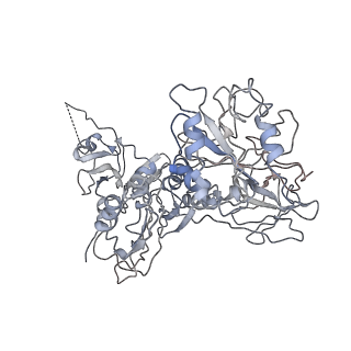 6396_5a9z_CA_v1-2
Complex of Thermous thermophilus ribosome bound to BipA-GDPCP