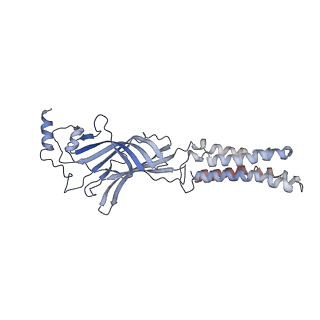 6998_6a96_B_v1-0
Cryo-EM structure of the human alpha5beta3 GABAA receptor in complex with GABA and Nb25