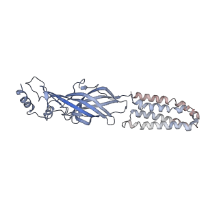 6998_6a96_C_v1-0
Cryo-EM structure of the human alpha5beta3 GABAA receptor in complex with GABA and Nb25