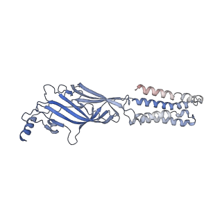 6998_6a96_D_v1-0
Cryo-EM structure of the human alpha5beta3 GABAA receptor in complex with GABA and Nb25