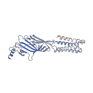 6998_6a96_D_v3-0
Cryo-EM structure of the human alpha5beta3 GABAA receptor in complex with GABA and Nb25
