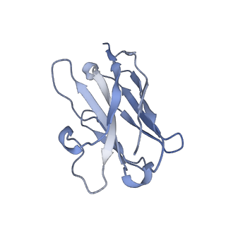 6998_6a96_K_v1-0
Cryo-EM structure of the human alpha5beta3 GABAA receptor in complex with GABA and Nb25