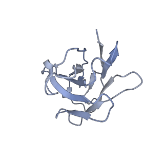 6998_6a96_L_v3-0
Cryo-EM structure of the human alpha5beta3 GABAA receptor in complex with GABA and Nb25