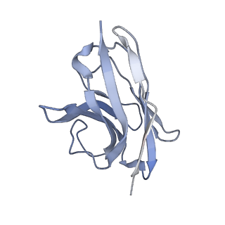 6998_6a96_O_v1-0
Cryo-EM structure of the human alpha5beta3 GABAA receptor in complex with GABA and Nb25