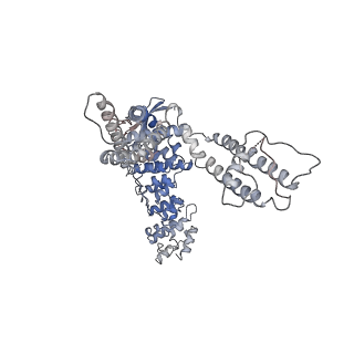 11690_7aa5_A_v1-0
Human TRPV4 structure in presence of 4a-PDD