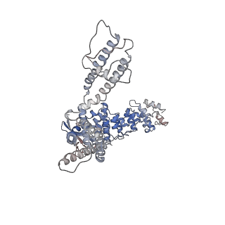 11690_7aa5_B_v1-0
Human TRPV4 structure in presence of 4a-PDD