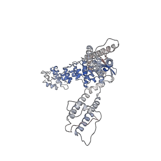 11690_7aa5_C_v1-0
Human TRPV4 structure in presence of 4a-PDD