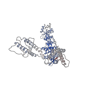 11690_7aa5_D_v1-0
Human TRPV4 structure in presence of 4a-PDD