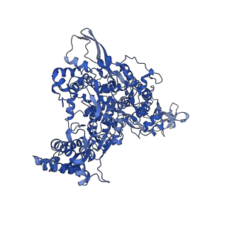 11692_7aap_A_v1-1
Nsp7-Nsp8-Nsp12 SARS-CoV2 RNA-dependent RNA polymerase in complex with template:primer dsRNA and favipiravir-RTP