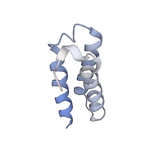 11692_7aap_C_v1-1
Nsp7-Nsp8-Nsp12 SARS-CoV2 RNA-dependent RNA polymerase in complex with template:primer dsRNA and favipiravir-RTP