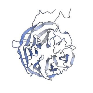11693_7aav_G_v1-1
Human pre-Bact-2 spliceosome core structure