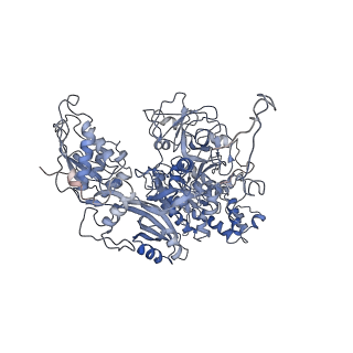 11693_7aav_r_v1-1
Human pre-Bact-2 spliceosome core structure