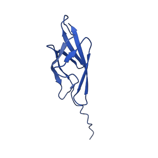 15291_8aa2_T_v1-1
Inactive levan utilisation machinery (utilisome) in the presence of levan fructo-oligosaccharides DP 15-25