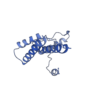 15295_8aac_4C_v1-0
African cichlid nackednavirus capsid at pH 7.5