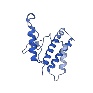15295_8aac_5A_v1-0
African cichlid nackednavirus capsid at pH 7.5