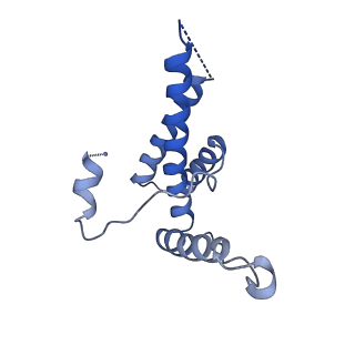 15295_8aac_AC_v1-0
African cichlid nackednavirus capsid at pH 7.5
