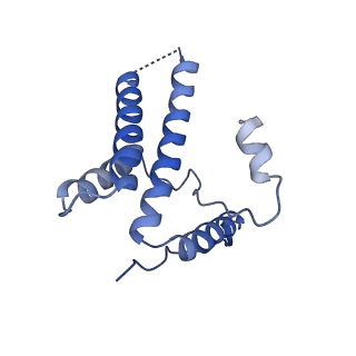 15295_8aac_EA_v1-0
African cichlid nackednavirus capsid at pH 7.5