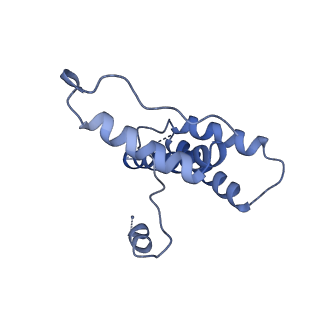 15295_8aac_GC_v1-0
African cichlid nackednavirus capsid at pH 7.5